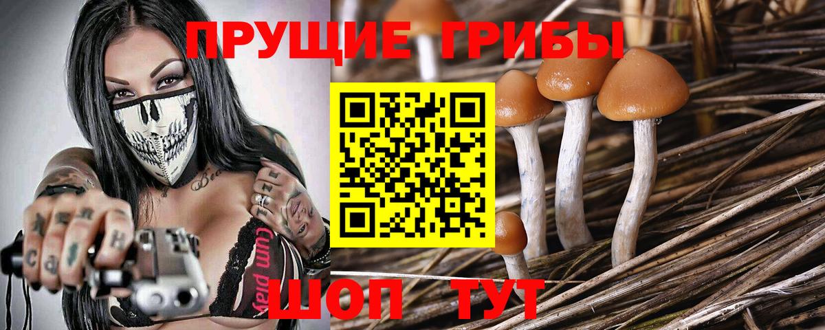 Можга  сколько стоит  Вход с VPN  Галлюциногенные грибы ЛСД 
